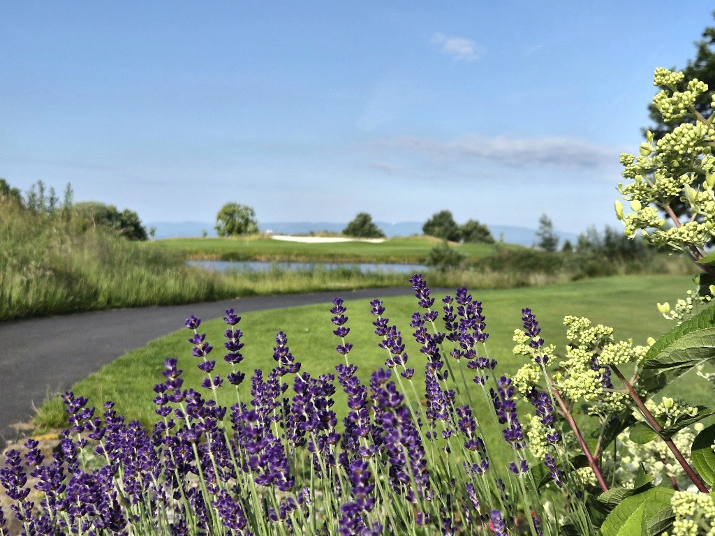 Golf & Natur Gut Wissmannshof